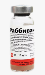 Раббивак V (10д)