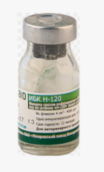 ИБК H-120 (1000д)
