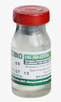 НБ-Ла-Сота (4000д)