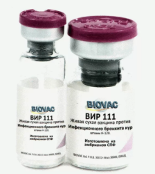 Вир-111 ИБ (2500д)