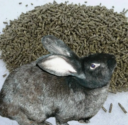 Комбикорм для кроликов