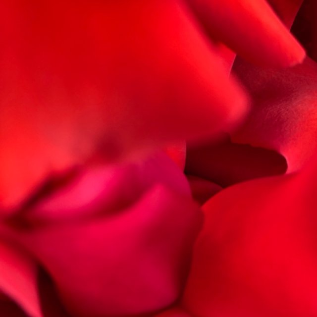 Джинсы Вильвет 