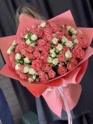 Кустовые Роза «Барбадос и Беларусь»