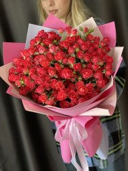 Кустовая Роза «Черри Хеопс»