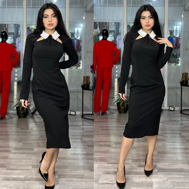 Футляр с белым воротником