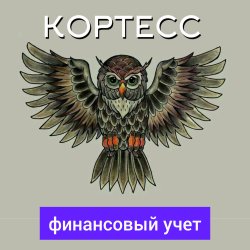 Финансовый учет