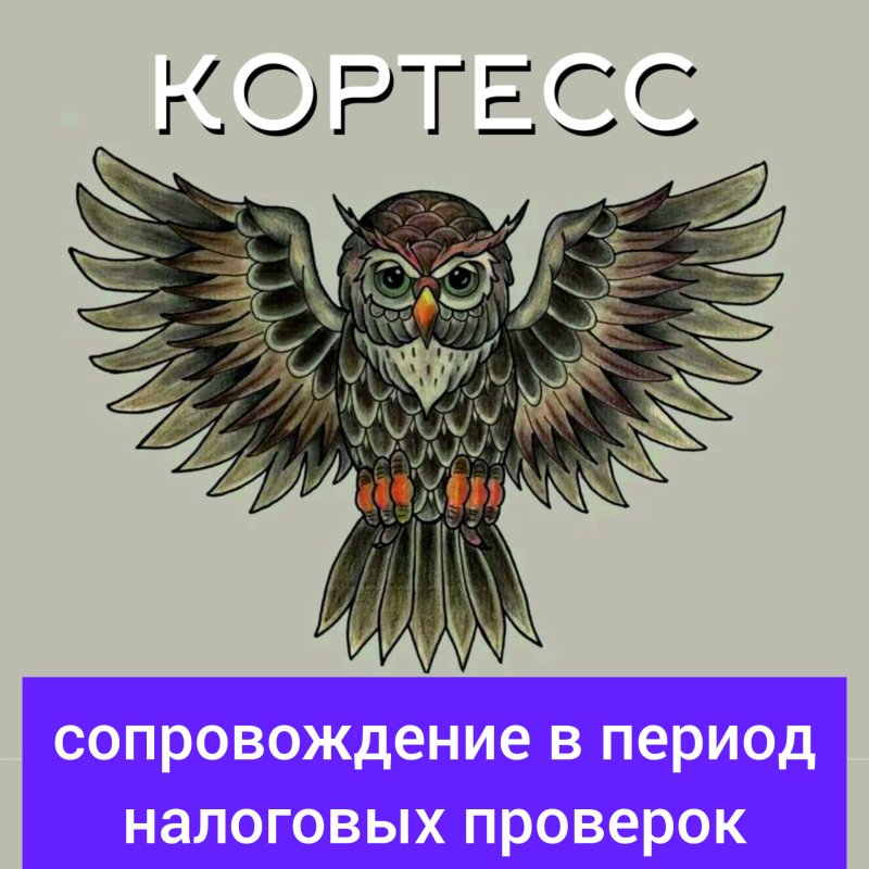 Сопровождение в период выездных налоговых проверок