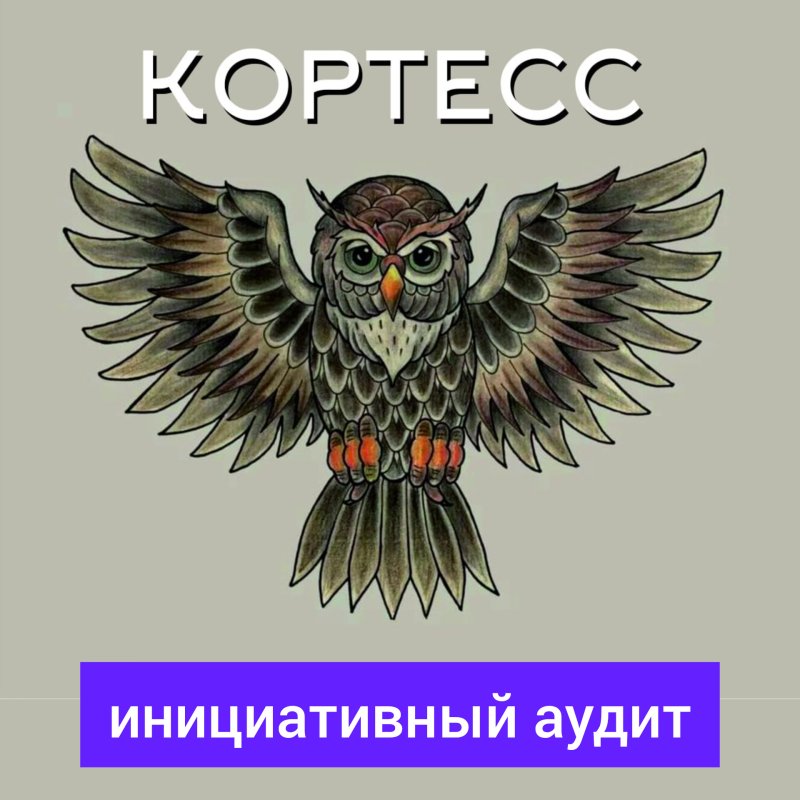 Инициативный аудит