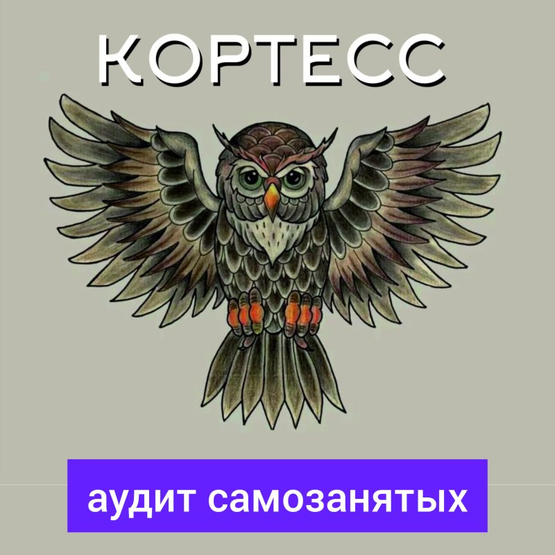 Аудит самозанятых