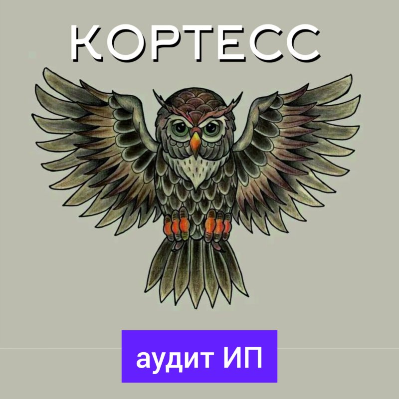 Аудит ИП