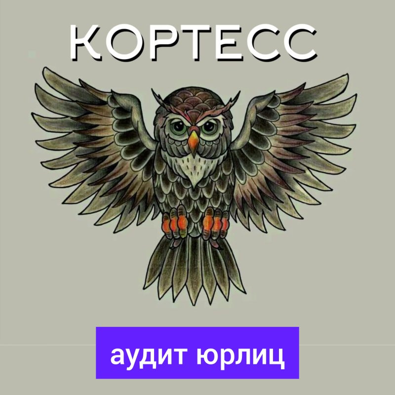 Аудит юридических лиц