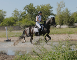 Летний конно-спортивный лагерь