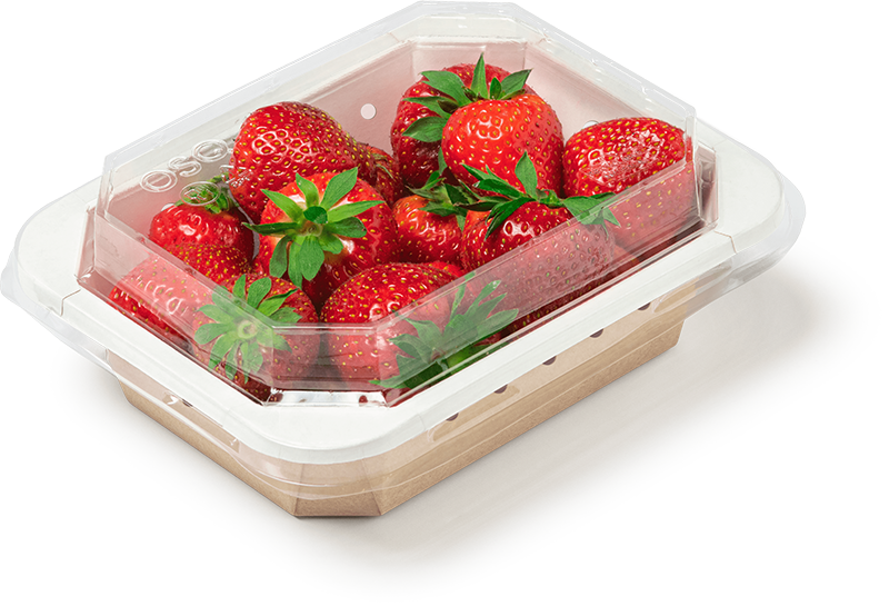 Упаковка OSQ OCTOBOX КРЫШКА ПЛОСКАЯ 500мл 40шт/уп 14/560