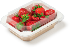 Упаковка OSQ OCTOBOX КРЫШКА ПЛОСКАЯ 500мл 40шт/уп 14/560