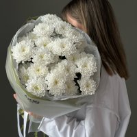 Облако хризантем 