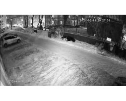 Видеокамера AHD XVI SMR-2329-4-in-1 (2.8мм)