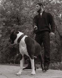 джемпер на молнии