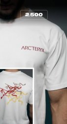 футболка Arc’teryx