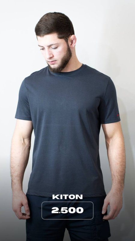 футболка Kiton