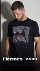 футболки Hermes