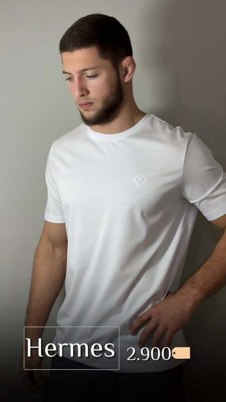 Футболка Hermes