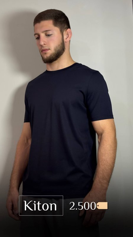 Футболка Kiton