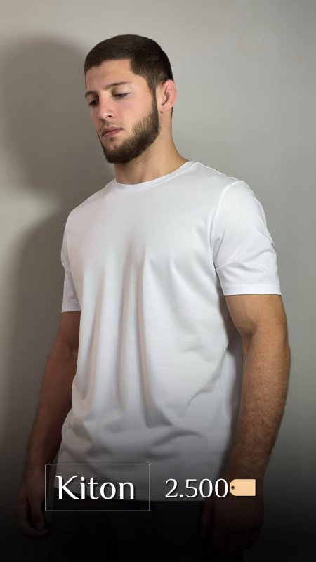 Футболка Kiton