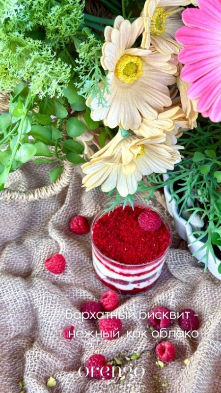 Трайфл «Клубничный/малиновый бархат»