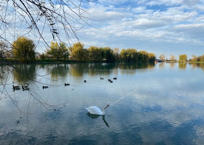 Обзорка и Шато Эркен