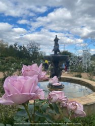 Железноводск курорт тур