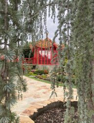 Железноводск курорт тур