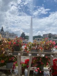 Кисловодск курортный тур