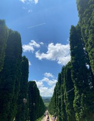 Кисловодск курортный тур