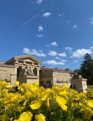 Ессентуки курортный день