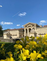 Ессентуки курортный день