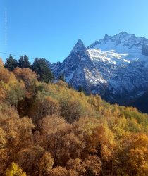 Домбай горный тур