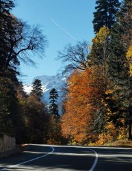 Домбай горный тур