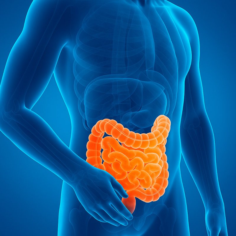 ГАСТРОЭНТЕРОЛОГИЯ