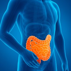 ГАСТРОЭНТЕРОЛОГИЯ