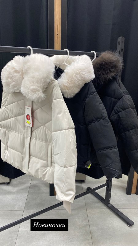 Женские куртки демисезонные и зимние с капюшоном