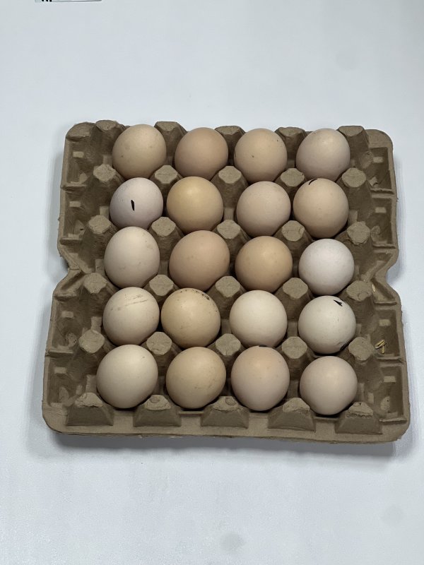 СВ кремовое