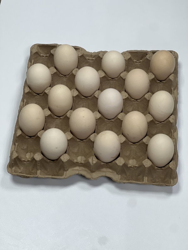 2 желтка Крупное (Ломан Браун)