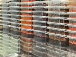 Специи в ассортименте