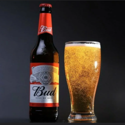 Пиво Бад стекло