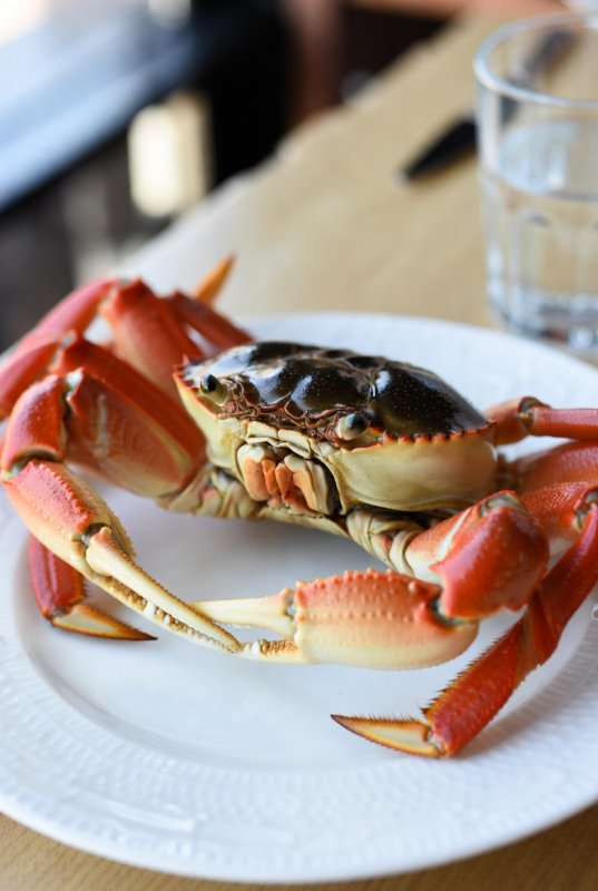 Краб камчатский