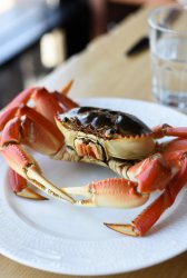 Краб камчатский