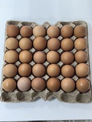 Тетра (красное домашнее)