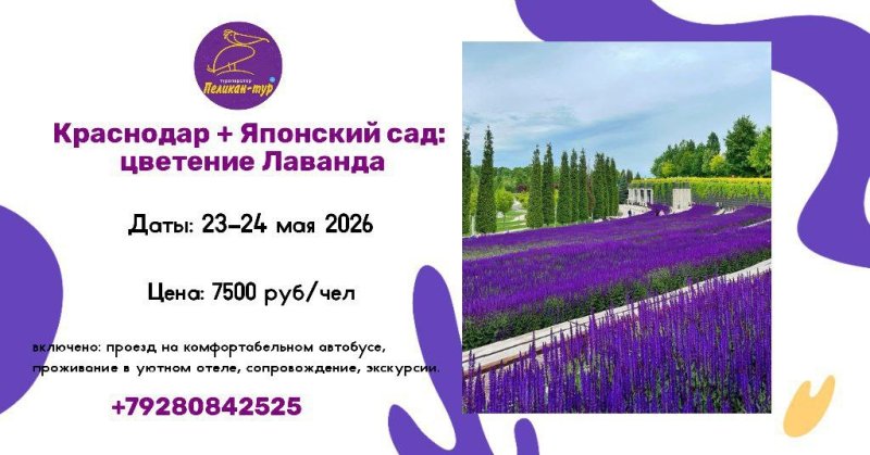 Вдохновляющий Май в полях Лаванды! 🌿