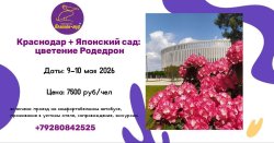 🌸 Цветение Рододендрона в Краснодаре на майские праздники! 🌸