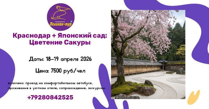 🌸Цветёт Сакура ! 🌸